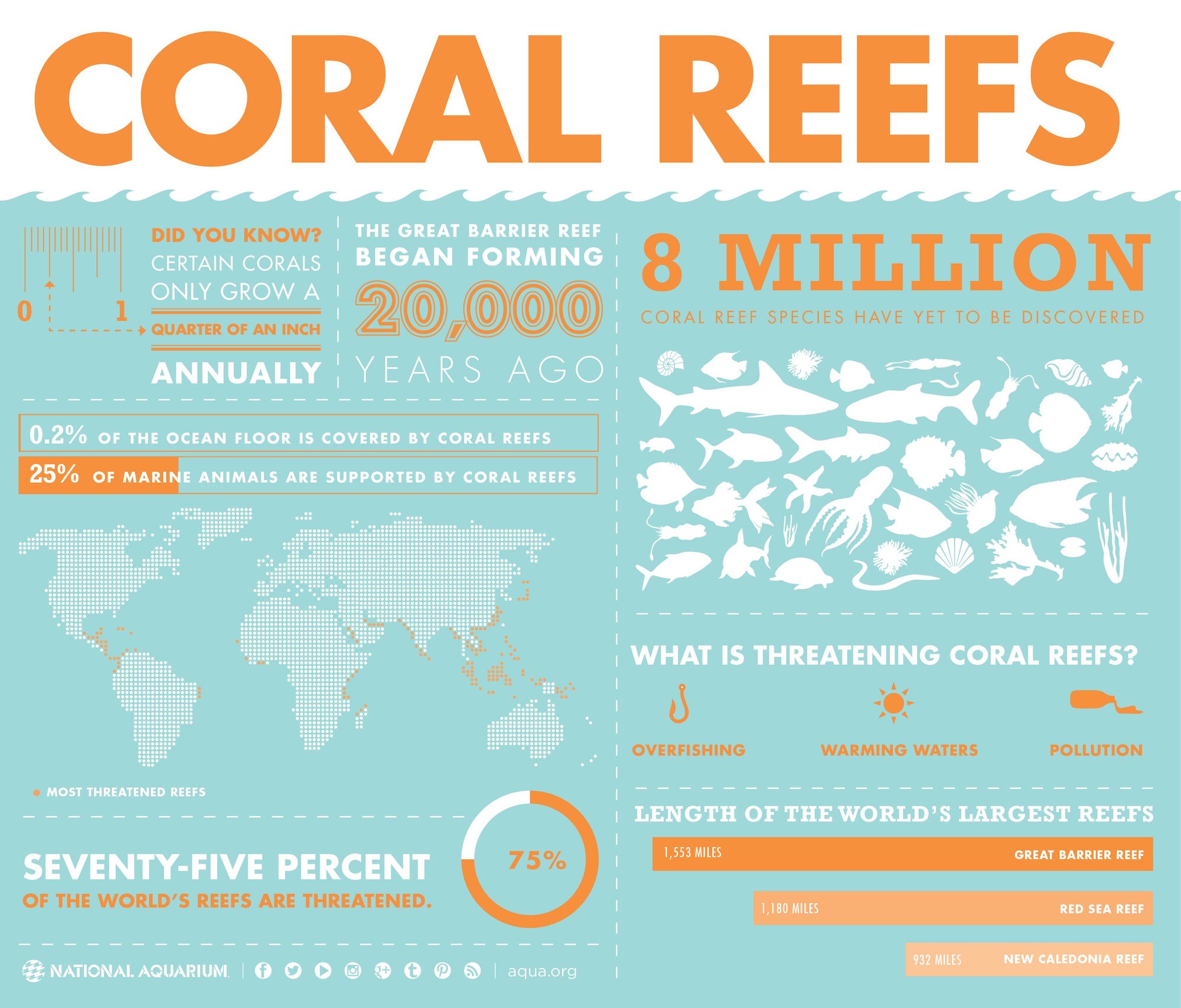 Why Should I Protect Coral Reefs?